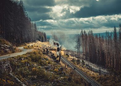 steam train and landscape