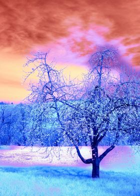 a tree in a grassy field