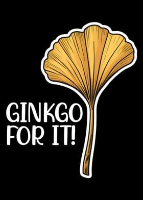 Ginkgo for it