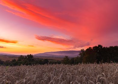 Colorful summer sunset