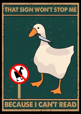 Duck can not read