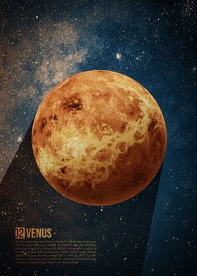 Venus Art Poster