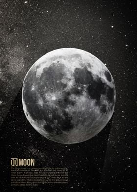 Moon Art Poster