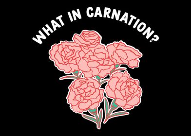 What In Carnation Gardenin