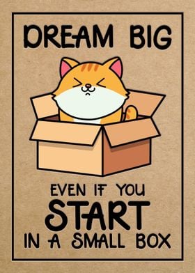 Dream Big in a Box