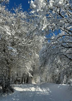 a snow covered road surro