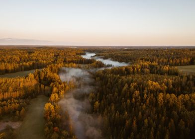 bird view of sunrise