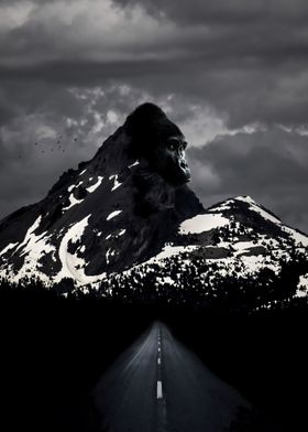 Ape Mountain Drive