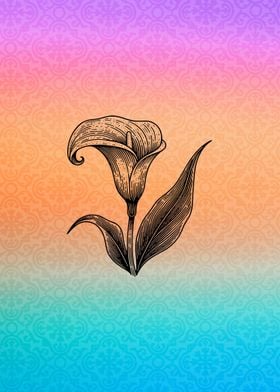 Calla Lily Line Art