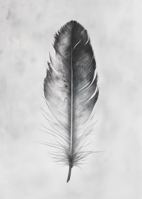 Bird feather Minimalistic