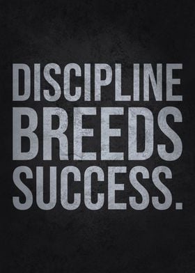 Discipline Breeds Success