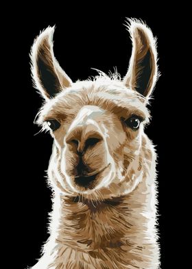 Funny Llama