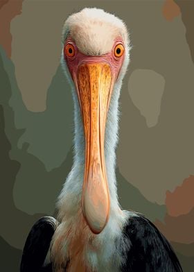 Portrait Pelicans