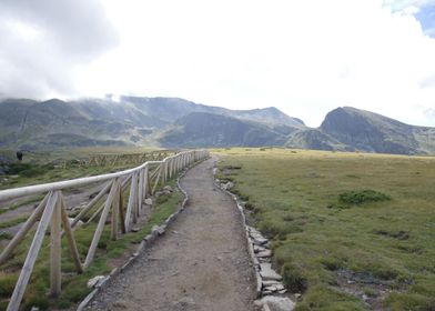 Path to Nature