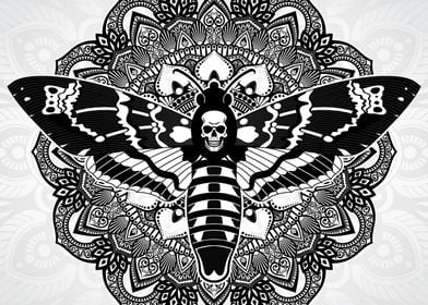 death head moth mandala