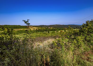 Serbian landscape