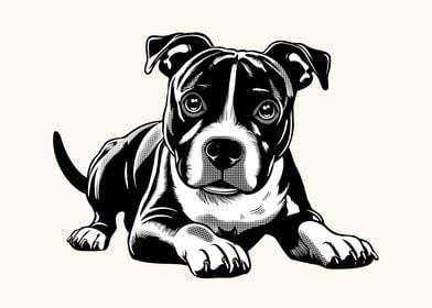 Staffordshire Bull Terrier