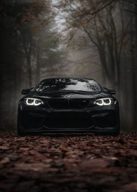 BMW Car Autumn