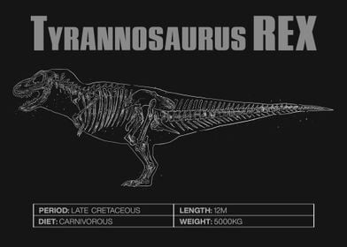 T Rex Skeleton