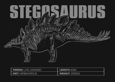 Stegosaurus Skeleton