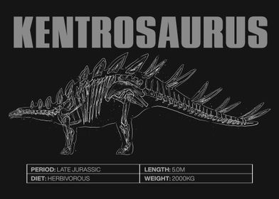 Kentrosaurus Skeleton