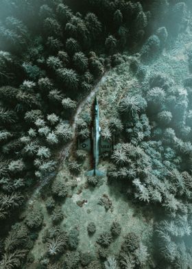 plane in the forest