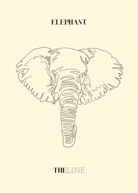 Elephant with lines