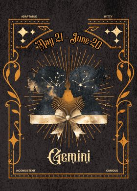 Gemini Sign