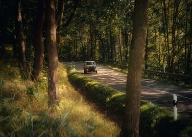 Jeep Forest Road