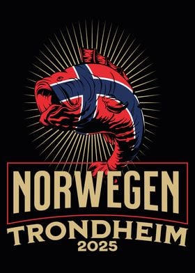 Norwegen Trondheim 2025