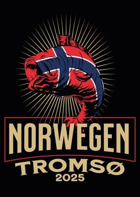 Norwegen Troms 2025