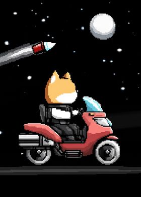 cat motorcycle