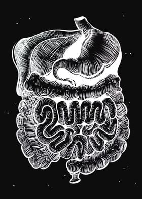 Digestive System Mono