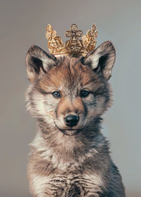 Wolf King Crown