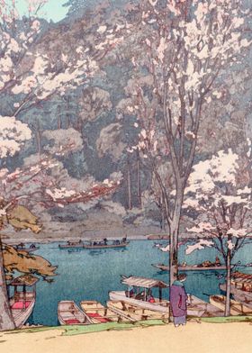 Cherry Trees of Arashiyama