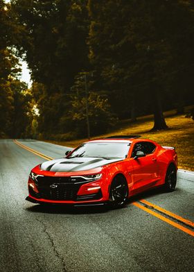 chevrolet camaro