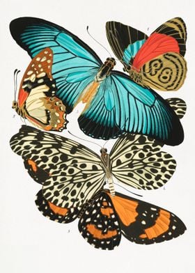 Vintage butterfly 3