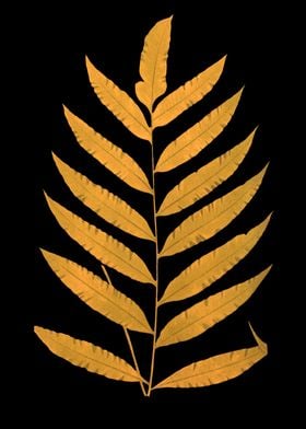 Golden Leaf