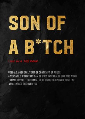 son of bitch  definition