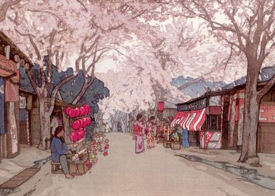 Avenue of Cherry Trees 