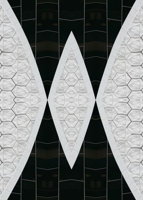 Patterned Symmetry 4