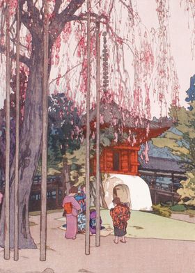 The Cherry Tree in Kawagoe