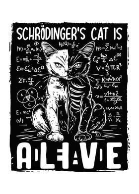 Schrdingers Cat Teacher