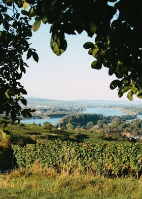 Serene River Valley