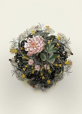 Vintage Tree Peony Wreath