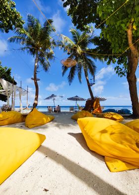 Beach bar under palm trees