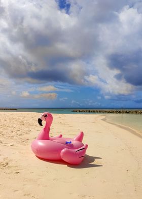 Flamingo float on a beach