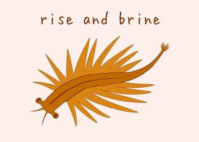 Rise and Brine