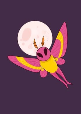 Rosy Maple Mothman