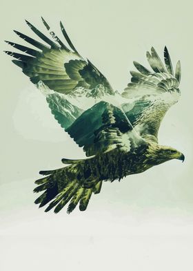 double exposure bird